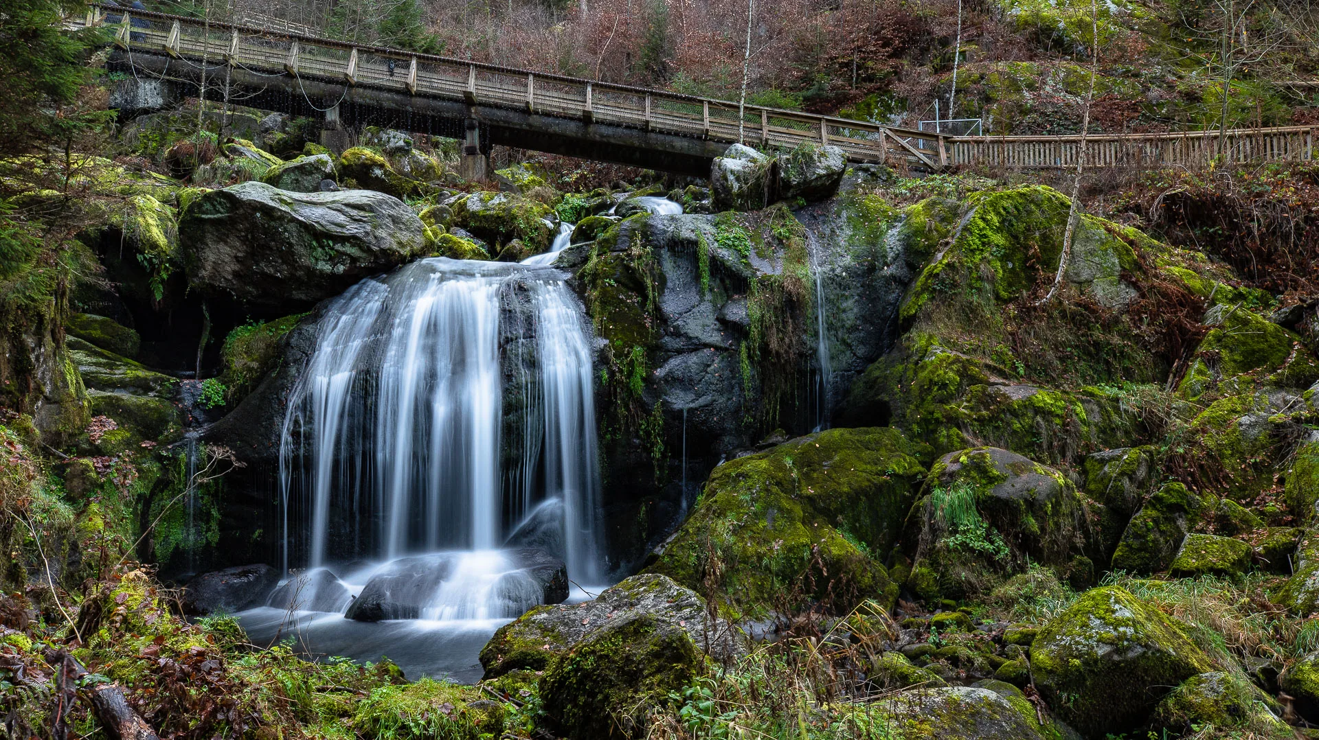 Jour 2 : Triberg, cascades et fermes traditionnelles