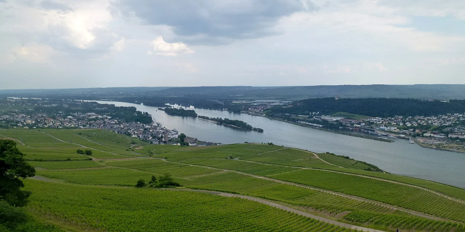Jour 1 : Rüdesheim et Bacharach, au cœur des vignobles