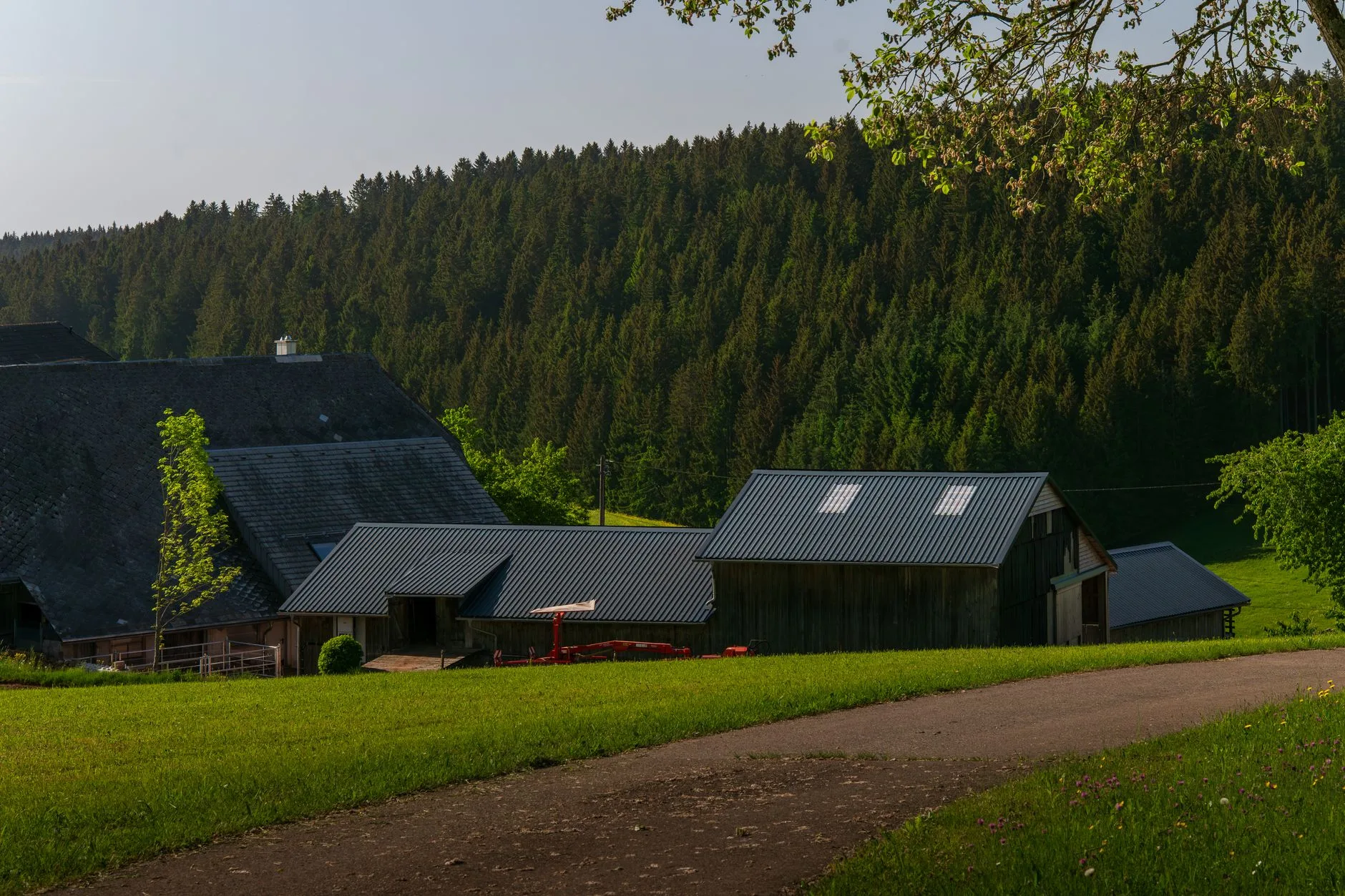 Le Sud-Ouest : spätzle, Maultaschen et Forêt-Noire